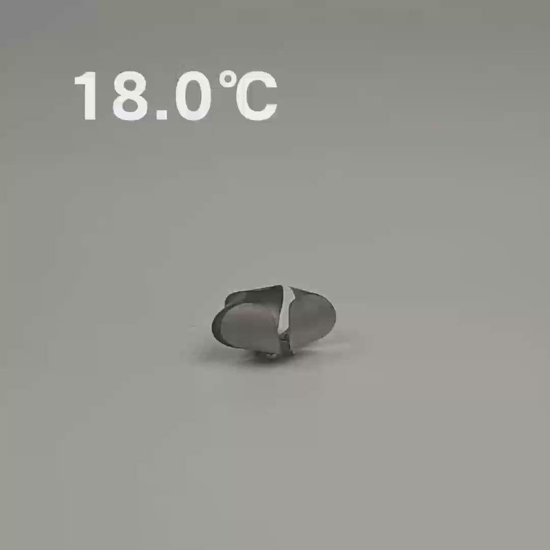 Memory metal flower (Nitinol alloy)
